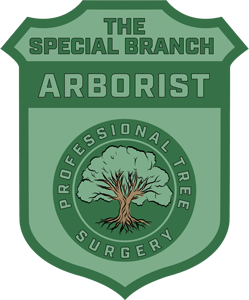 The Special Branch Arborist